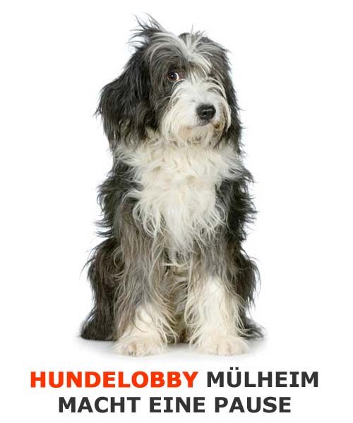Die Hundelobby Mülheim macht eine Pause!